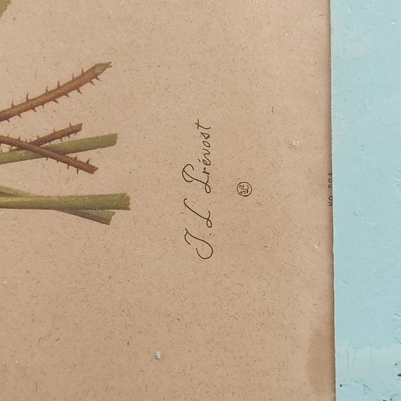 Set of 2 Vintage/Antique Jean Louis J.L Prevost floral prints in blue frames - Picture 5 of 5